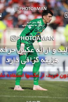 1399462, Tabriz, , لیگ برتر فوتبال ایران، Persian Gulf Cup، Week 28، Second Leg، Tractor Sazi 1 v 1 Persepolis on 2019/05/01 at Yadegar-e Emam Stadium