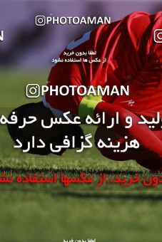 1399339, Tabriz, , لیگ برتر فوتبال ایران، Persian Gulf Cup، Week 28، Second Leg، Tractor Sazi 1 v 1 Persepolis on 2019/05/01 at Yadegar-e Emam Stadium