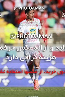 1399381, Tabriz, , لیگ برتر فوتبال ایران، Persian Gulf Cup، Week 28، Second Leg، Tractor Sazi 1 v 1 Persepolis on 2019/05/01 at Yadegar-e Emam Stadium