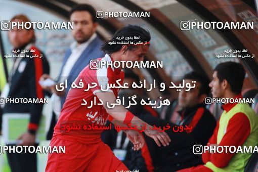 1399427, Tabriz, , لیگ برتر فوتبال ایران، Persian Gulf Cup، Week 28، Second Leg، Tractor Sazi 1 v 1 Persepolis on 2019/05/01 at Yadegar-e Emam Stadium