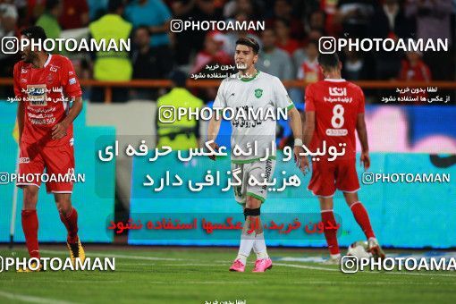 1403558, Tehran, , لیگ برتر فوتبال ایران، Persian Gulf Cup، Week 29، Second Leg، Persepolis 1 v 1 Gostaresh Foulad Tabriz on 2019/05/11 at Azadi Stadium