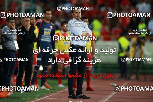 1403617, Tehran, , لیگ برتر فوتبال ایران، Persian Gulf Cup، Week 29، Second Leg، Persepolis 1 v 1 Gostaresh Foulad Tabriz on 2019/05/11 at Azadi Stadium
