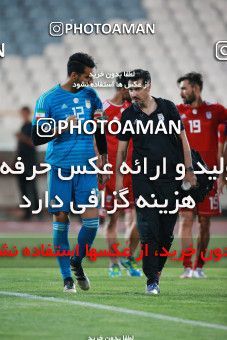 1419130, Tehran, , Friendly logistics match، Iran 1 - 1 Iran on 2019/07/15 at Azadi Stadium