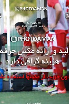 1418386, Tehran, , Iran National Football Team Training Session on 2019/07/14 at Iran National Football Center