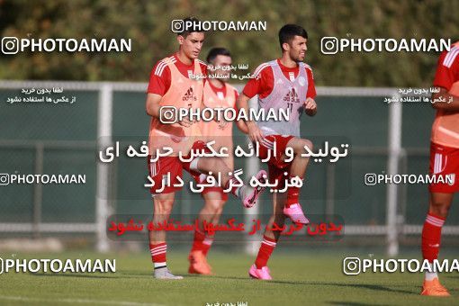 1418302, Tehran, , Iran National Football Team Training Session on 2019/07/14 at Iran National Football Center
