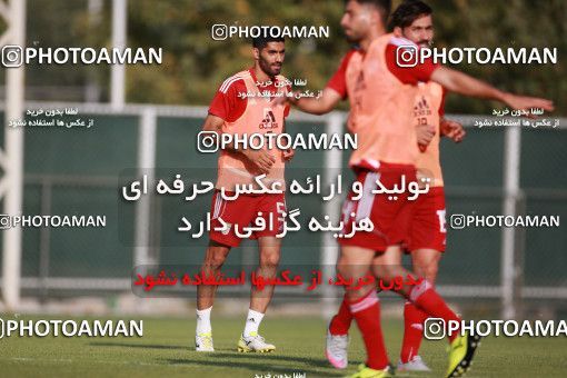 1418242, Tehran, , Iran National Football Team Training Session on 2019/07/14 at Iran National Football Center