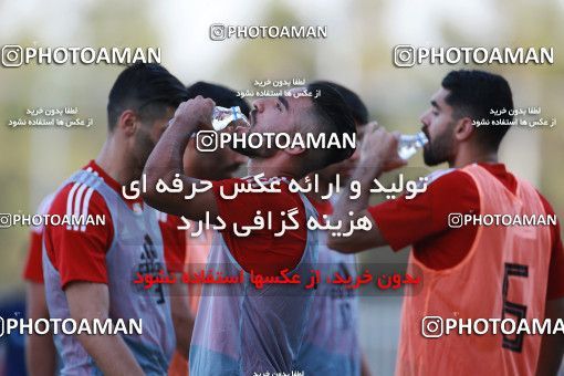 1418226, Tehran, , Iran National Football Team Training Session on 2019/07/14 at Iran National Football Center