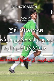 1417981, Tehran, , Friendly logistics match، Iran 1 - 1 Paykan on 2019/07/14 at Iran National Football Center