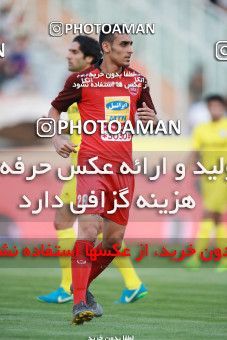1430464, Tehran, Iran, Iran Football Pro League، Persian Gulf Cup، Week 1، First Leg، Persepolis 1 v 0 Pars Jonoubi Jam on 2019/08/22 at Azadi Stadium