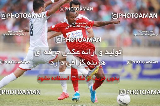 1436137, Tehran,Shahr Qods, , Iran Football Pro League، Persian Gulf Cup، Week 2، First Leg، Tractor Sazi 1 v 0 Persepolis on 2019/08/30 at Yadegar-e Emam Stadium