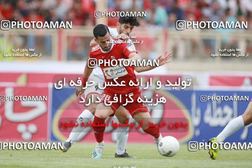 1436209, Tehran,Shahr Qods, , Iran Football Pro League، Persian Gulf Cup، Week 2، First Leg، Tractor Sazi 1 v 0 Persepolis on 2019/08/30 at Yadegar-e Emam Stadium