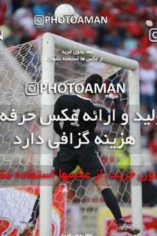 1436649, Tehran,Shahr Qods, , Iran Football Pro League، Persian Gulf Cup، Week 2، First Leg، Tractor Sazi 1 v 0 Persepolis on 2019/08/30 at Yadegar-e Emam Stadium