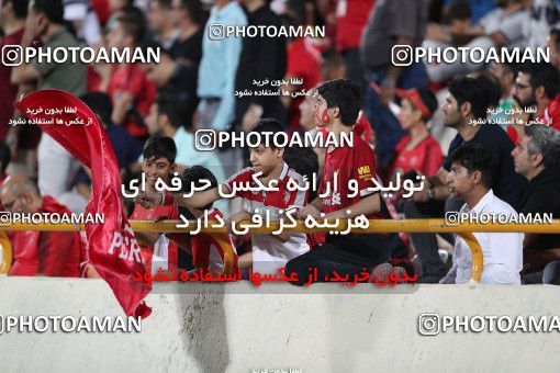 1535670, Tehran, Iran, Iran Football Pro League، Persian Gulf Cup، Week 3، First Leg، Persepolis 1 v 0 Sanat Naft Abadan on 2019/09/16 at Azadi Stadium