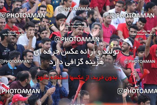 1458431, Bushehr, Iran, Iran Football Pro League، Persian Gulf Cup، 2018-19 Season، First Leg، Week 8، Shahin Shahrdari Boushehr v Persepolis on 2019/10/25 at ورزشگاه شهید مهدوی بوشهر  / ([*parameter:140*] - [*parameter:139*]) (05)