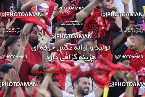 1458628, Bushehr, Iran, Iran Football Pro League، Persian Gulf Cup، 2018-19 Season، First Leg، Week 8، Shahin Shahrdari Boushehr v Persepolis on 2019/10/25 at ورزشگاه شهید مهدوی بوشهر  / ([*parameter:140*] - [*parameter:139*]) (05)