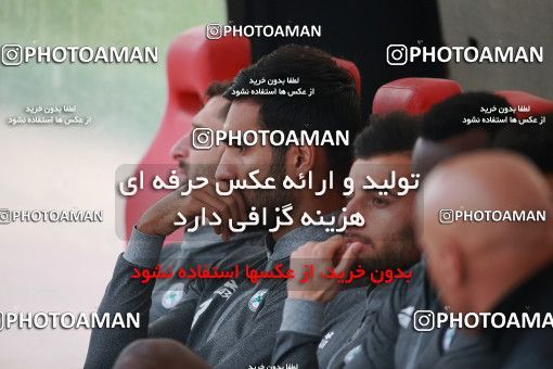 1481280, Tehran,Shahr Qods, , Iran Football Pro League، Persian Gulf Cup، Week 8، First Leg، Paykan 2 v 1 Zob Ahan Esfahan on 2019/10/25 at Shahr-e Qods Stadium