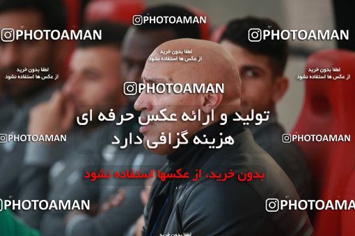1481242, Tehran,Shahr Qods, , Iran Football Pro League، Persian Gulf Cup، Week 8، First Leg، Paykan 2 v 1 Zob Ahan Esfahan on 2019/10/25 at Shahr-e Qods Stadium