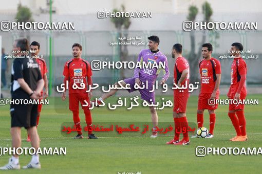 1521196, Dubai, , AFC Champions League 2018, Persepolis Football Team Training Session on 2018/03/11 at ورزشگاه ایرانیان دوبی