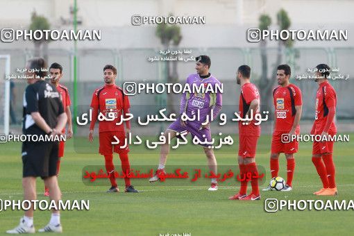 1521138, Dubai, , AFC Champions League 2018, Persepolis Football Team Training Session on 2018/03/11 at ورزشگاه ایرانیان دوبی