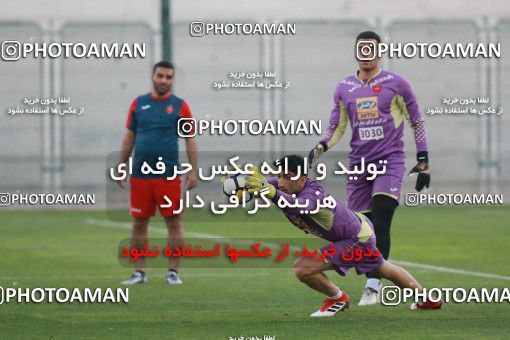 1521150, Dubai, , AFC Champions League 2018, Persepolis Football Team Training Session on 2018/03/11 at ورزشگاه ایرانیان دوبی