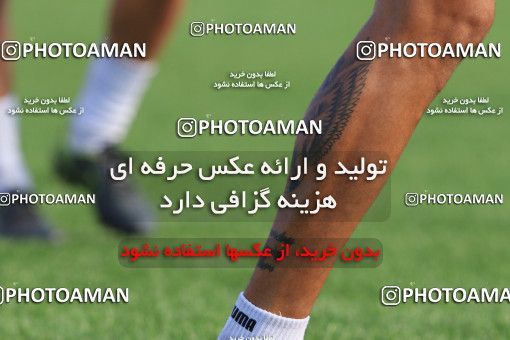 1691838, Rasht, , لیگ برتر فوتبال ایران، Persian Gulf Cup، Week 12، First Leg، Sepid Roud Rasht 2 v 2 Zob Ahan Esfahan on 2017/11/20 at Sardar Jangal Stadium