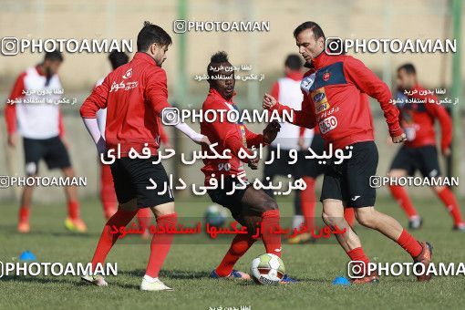 1692872, Tehran, , Persepolis Football Team Training Session on 2017/12/08 at Kheyrieh Amal Stadium