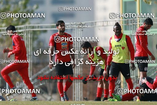 1706750, Tehran, , Persepolis Football Team Training Session on 2018/01/01 at Research Institute of Petroleum Industry