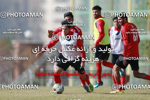 1706721, Tehran, , Persepolis Football Team Training Session on 2018/01/01 at Research Institute of Petroleum Industry
