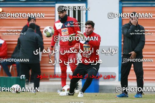 1707042, Tehran, , Persepolis Football Team Training Session on 2018/01/02 at Research Institute of Petroleum Industry