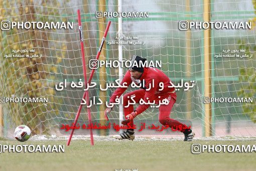 1707137, Tehran, , Persepolis Football Team Training Session on 2018/01/02 at Research Institute of Petroleum Industry