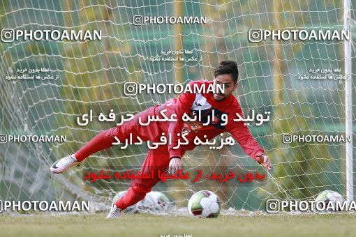 1707074, Tehran, , Persepolis Football Team Training Session on 2018/01/02 at Research Institute of Petroleum Industry