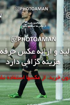 632190, Tehran, [*parameter:4*], لیگ برتر فوتبال ایران، Persian Gulf Cup، Week 2، First Leg، Esteghlal 1 v 2 Sepahan on 2013/08/01 at Azadi Stadium