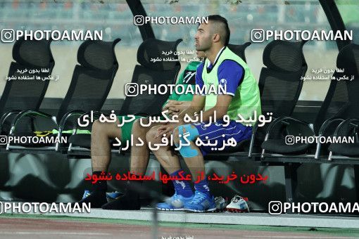 633905, Tehran, [*parameter:4*], لیگ برتر فوتبال ایران، Persian Gulf Cup، Week 4، First Leg، Esteghlal 1 v 0 Saba on 2013/08/10 at Azadi Stadium