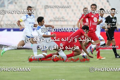 681889, Tehran, [*parameter:4*], لیگ برتر فوتبال ایران، Persian Gulf Cup، Week 5، First Leg، Persepolis 1 v 0 Malvan Bandar Anzali on 2013/08/16 at Azadi Stadium