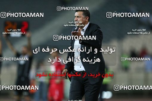 681992, Tehran, [*parameter:4*], لیگ برتر فوتبال ایران، Persian Gulf Cup، Week 5، First Leg، Persepolis 1 v 0 Malvan Bandar Anzali on 2013/08/16 at Azadi Stadium
