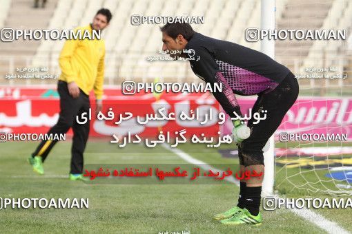 638633, Tehran, [*parameter:4*], لیگ برتر فوتبال ایران، Persian Gulf Cup، Week 15، First Leg، Naft Tehran 2 v 2 Sepahan on 2013/11/03 at Shahid Dastgerdi Stadium