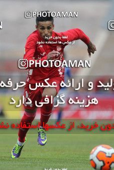648354, Tabriz, [*parameter:4*], لیگ برتر فوتبال ایران، Persian Gulf Cup، Week 15، First Leg، Tractor Sazi 1 v 1 Esteghlal on 2013/11/08 at Yadegar-e Emam Stadium