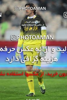 644343, Tehran, [*parameter:4*], لیگ برتر فوتبال ایران، Persian Gulf Cup، Week 12، First Leg، Esteghlal 1 v 0 Malvan Bandar Anzali on 2013/11/24 at Azadi Stadium