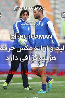 644303, Tehran, [*parameter:4*], لیگ برتر فوتبال ایران، Persian Gulf Cup، Week 12، First Leg، Esteghlal 1 v 0 Malvan Bandar Anzali on 2013/11/24 at Azadi Stadium