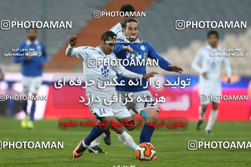645011, Tehran, [*parameter:4*], لیگ برتر فوتبال ایران، Persian Gulf Cup، Week 12، First Leg، Esteghlal 1 v 0 Malvan Bandar Anzali on 2013/11/24 at Azadi Stadium