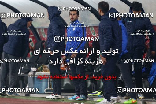 645063, Tehran, [*parameter:4*], لیگ برتر فوتبال ایران، Persian Gulf Cup، Week 12، First Leg، Esteghlal 1 v 0 Malvan Bandar Anzali on 2013/11/24 at Azadi Stadium