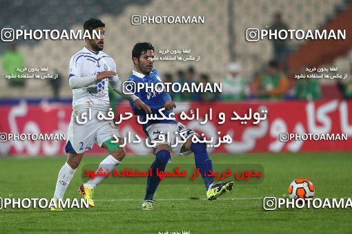 645007, Tehran, [*parameter:4*], لیگ برتر فوتبال ایران، Persian Gulf Cup، Week 12، First Leg، Esteghlal 1 v 0 Malvan Bandar Anzali on 2013/11/24 at Azadi Stadium