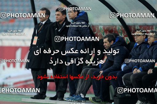 687542, Tehran, [*parameter:4*], لیگ برتر فوتبال ایران، Persian Gulf Cup، Week 12، First Leg، Esteghlal 1 v 0 Malvan Bandar Anzali on 2013/11/24 at Azadi Stadium