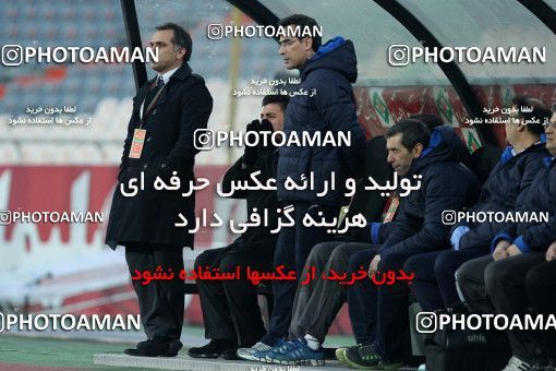 687543, Tehran, [*parameter:4*], لیگ برتر فوتبال ایران، Persian Gulf Cup، Week 12، First Leg، Esteghlal 1 v 0 Malvan Bandar Anzali on 2013/11/24 at Azadi Stadium