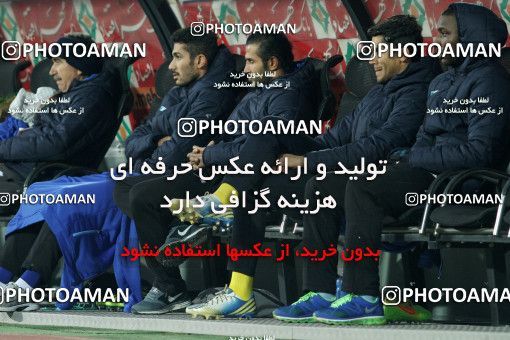 687625, Tehran, [*parameter:4*], لیگ برتر فوتبال ایران، Persian Gulf Cup، Week 12، First Leg، Esteghlal 1 v 0 Malvan Bandar Anzali on 2013/11/24 at Azadi Stadium