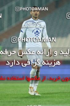 687536, Tehran, [*parameter:4*], لیگ برتر فوتبال ایران، Persian Gulf Cup، Week 12، First Leg، Esteghlal 1 v 0 Malvan Bandar Anzali on 2013/11/24 at Azadi Stadium