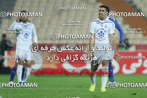 687646, Tehran, [*parameter:4*], لیگ برتر فوتبال ایران، Persian Gulf Cup، Week 12، First Leg، Esteghlal 1 v 0 Malvan Bandar Anzali on 2013/11/24 at Azadi Stadium