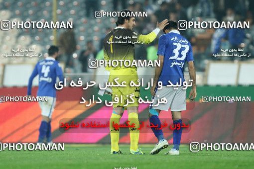 687558, Tehran, [*parameter:4*], لیگ برتر فوتبال ایران، Persian Gulf Cup، Week 12، First Leg، Esteghlal 1 v 0 Malvan Bandar Anzali on 2013/11/24 at Azadi Stadium