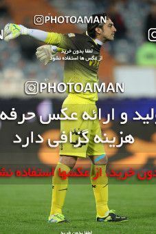 807641, Tehran, [*parameter:4*], لیگ برتر فوتبال ایران، Persian Gulf Cup، Week 1، Second Leg، Esteghlal 0 v 0 Gostaresh Foulad Tabriz on 2013/11/29 at Azadi Stadium