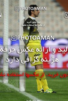 807408, Tehran, [*parameter:4*], لیگ برتر فوتبال ایران، Persian Gulf Cup، Week 1، Second Leg، Esteghlal 0 v 0 Gostaresh Foulad Tabriz on 2013/11/29 at Azadi Stadium